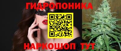 дживик Котовск