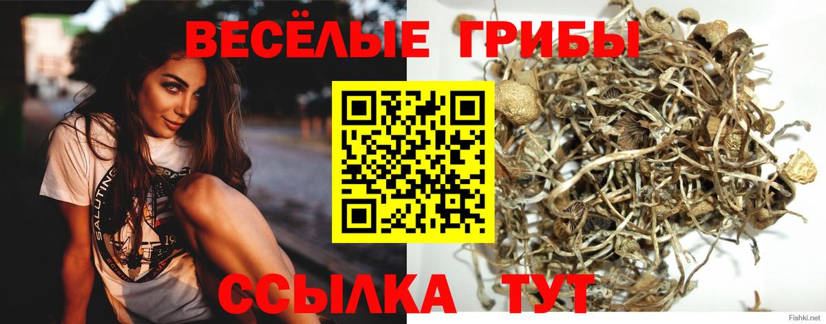 Алексеевка  Псилоцибиновые грибы Magic Shrooms  Вход с VPN 